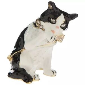 New Cat Licking Paw Jewelry Trinket Box